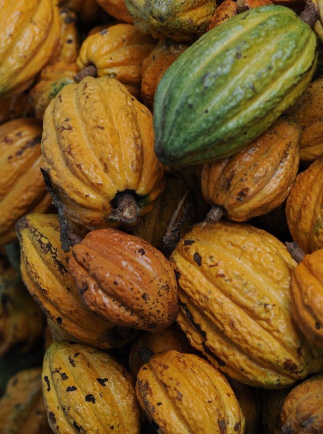 Our Cacao