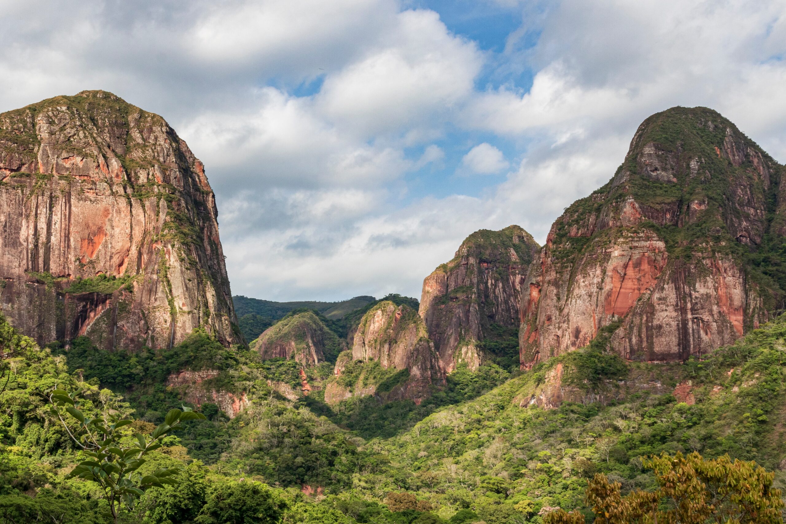 Rainforest slideshow image